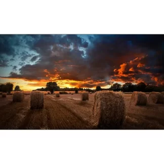 Samsung VM55B-U Ultra Narrow Bezel 55" LCD Video Wall for Business 24/7